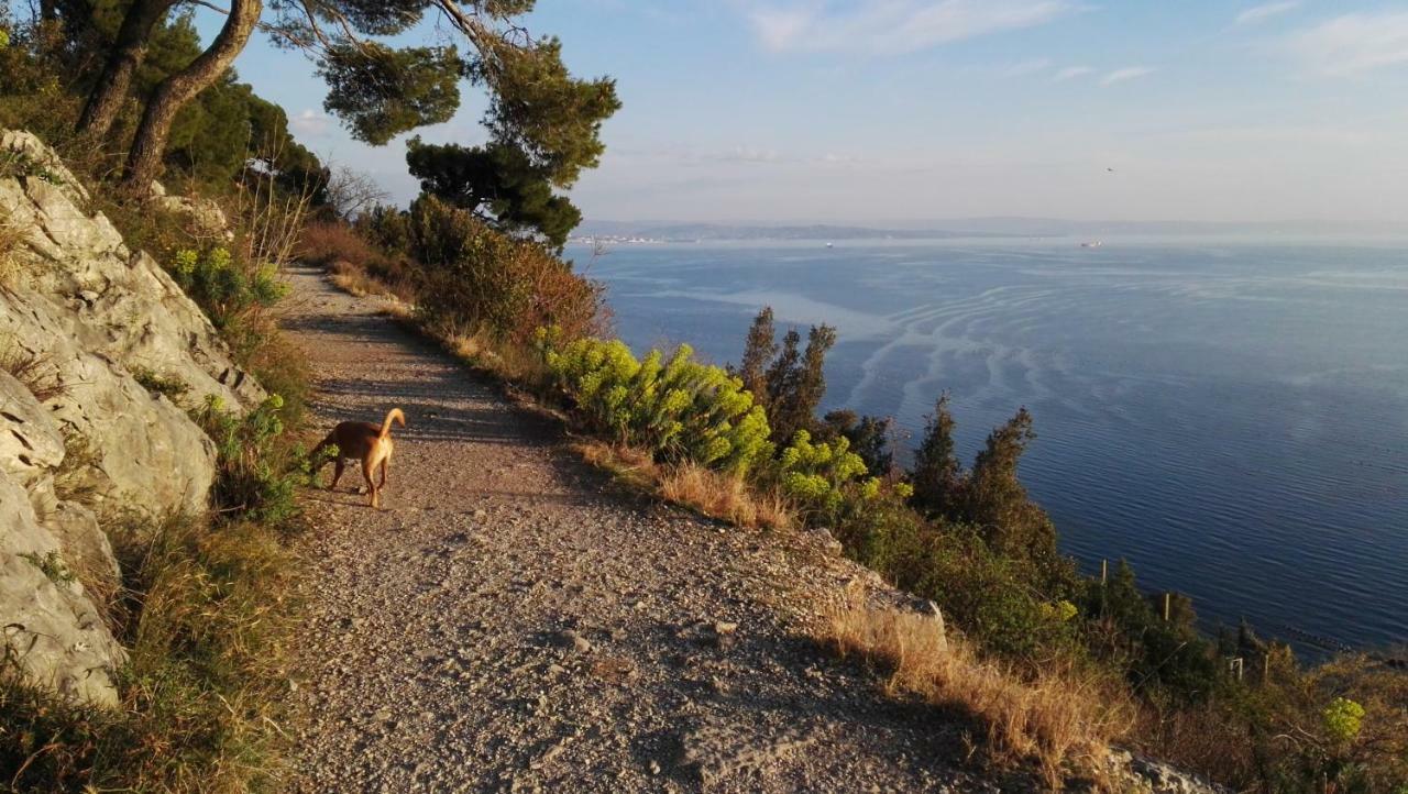 Panorama Διαμέρισμα Aurisina Εξωτερικό φωτογραφία